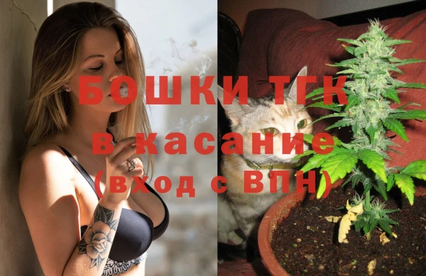 дживик Дмитриев