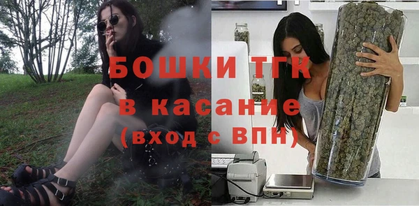 тгк Дмитров