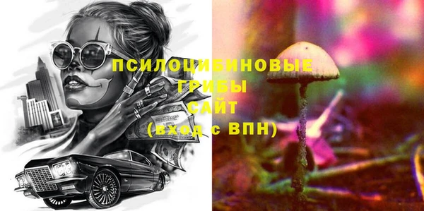 таблы Гусев