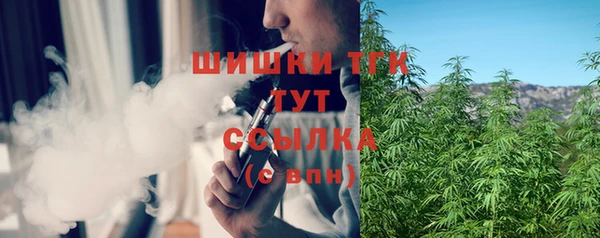 тгк Дмитров