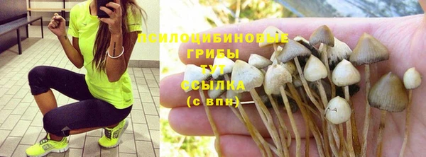 тгк Дмитров