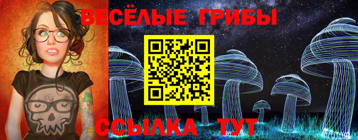 Тутаев  Псилоцибиновые грибы мицелий  Вход с VPN 